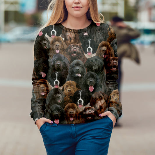 You Will Have A Bunch Of Newfoundlands - Sweatshirt V1