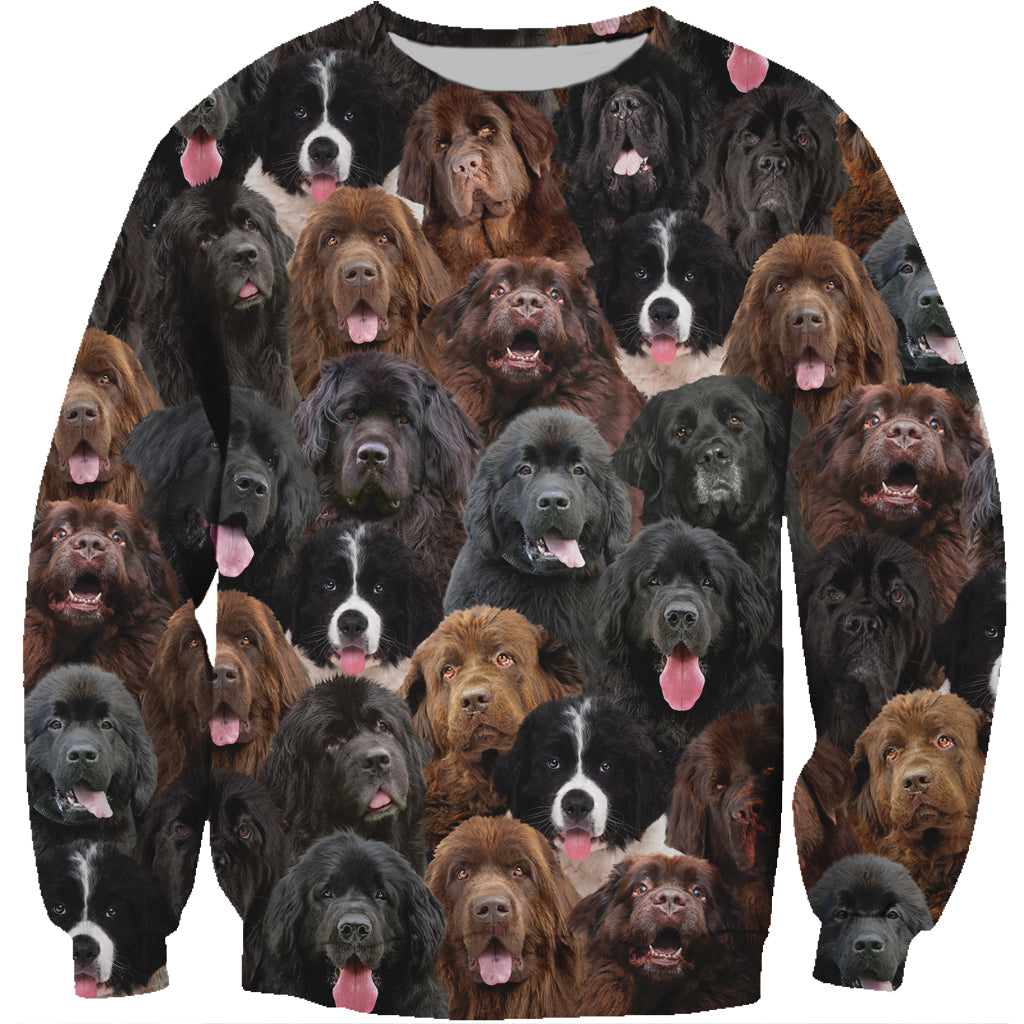 You Will Have A Bunch Of Newfoundlands - Sweatshirt V1