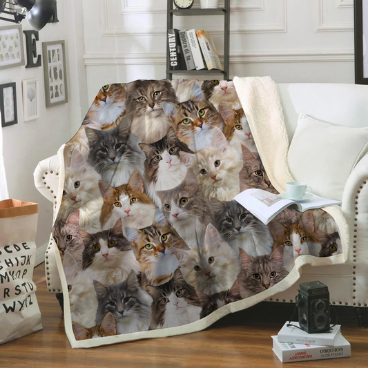 You Will Have A Bunch Of Norwegian Forest Cats - Blanket V1