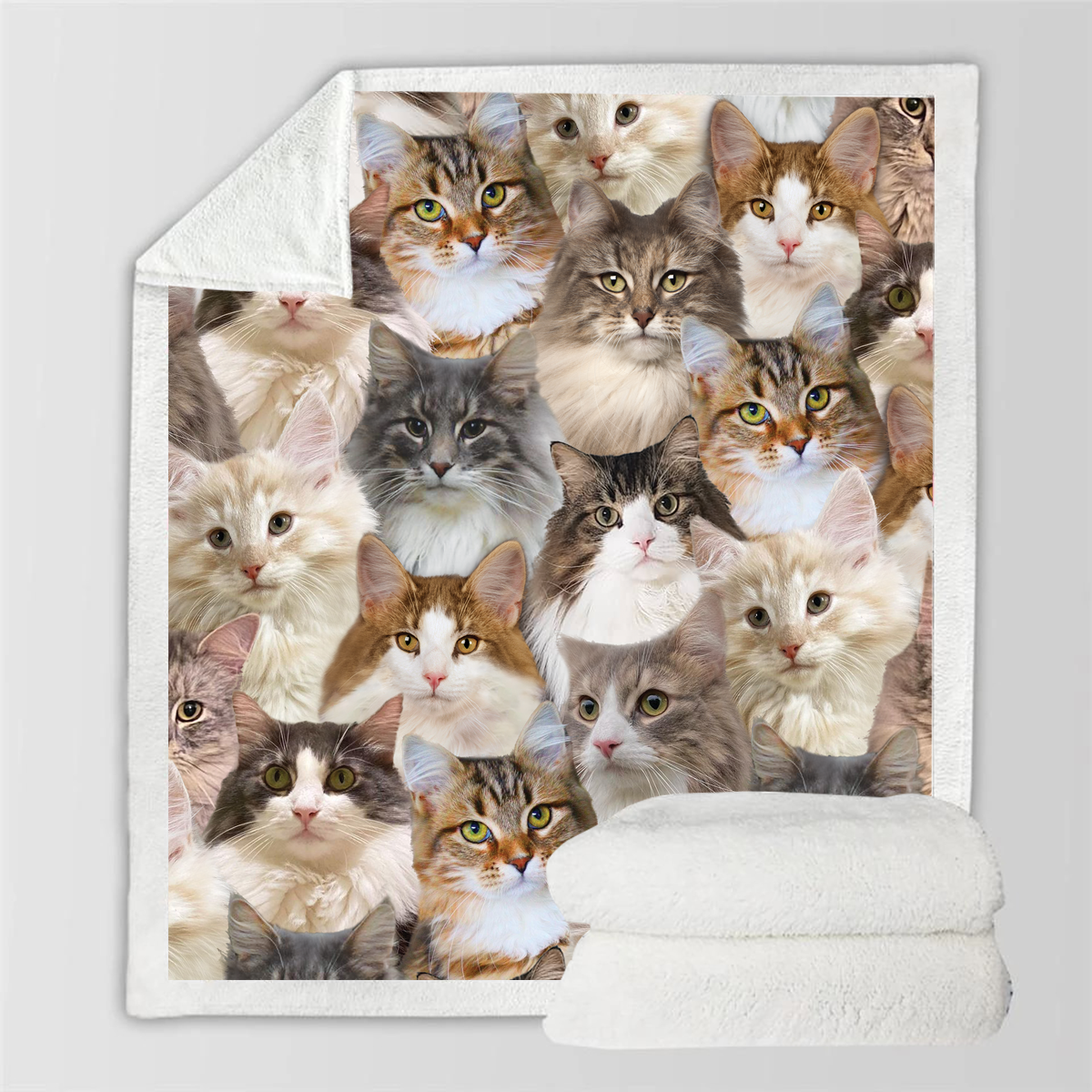 Norwegian Forest Cats - Blanket V1