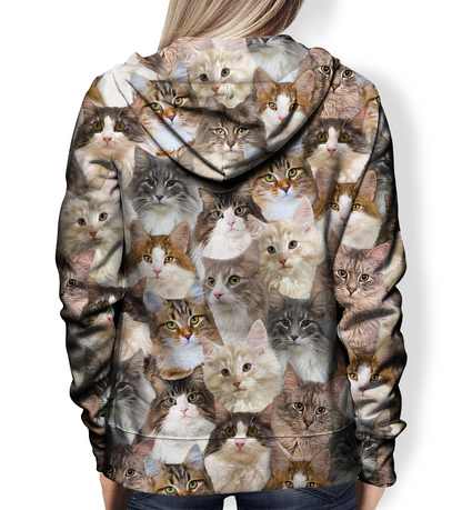 You Will Have A Bunch Of Norwegian Forest Cats - Hoodie V1