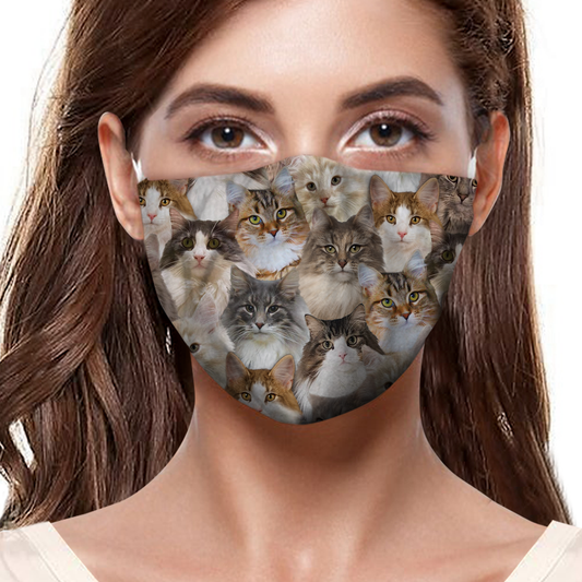 You Will Have A Bunch Of Norwegian Forest Cats F-Mask