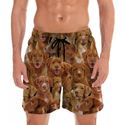 You Will Have A Bunch Of Nova Scotia Duck Tolling Retrievers - Shorts V1