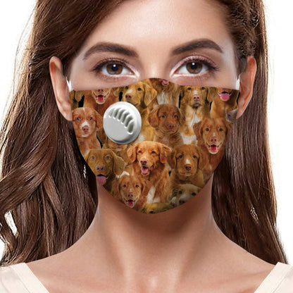 You Will Have A Bunch Of Nova Scotia Duck Tolling Retrievers F-Mask