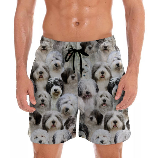 You Will Have A Bunch Of Old English Sheepdogs - Shorts V1