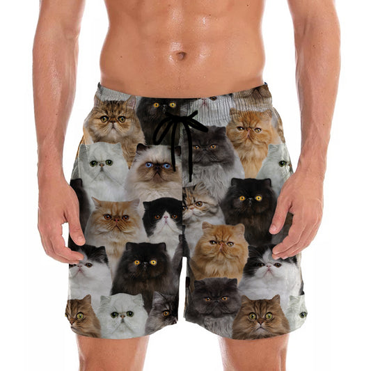 Vous aurez un groupe de chats persans - Shorts V1