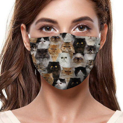 Vous aurez un groupe de chats persans F-Masque