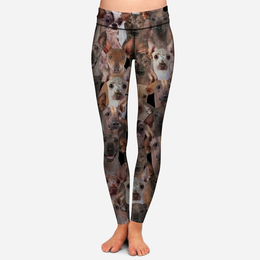 You Will Have A Bunch Of Peruvian Inca Orchids - Leggings V1