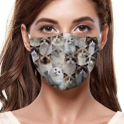 Vous aurez un groupe de chats Ragdoll F-Mask