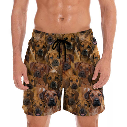 Sie werden eine Menge Rhodesian Ridgebacks haben – Shorts V1