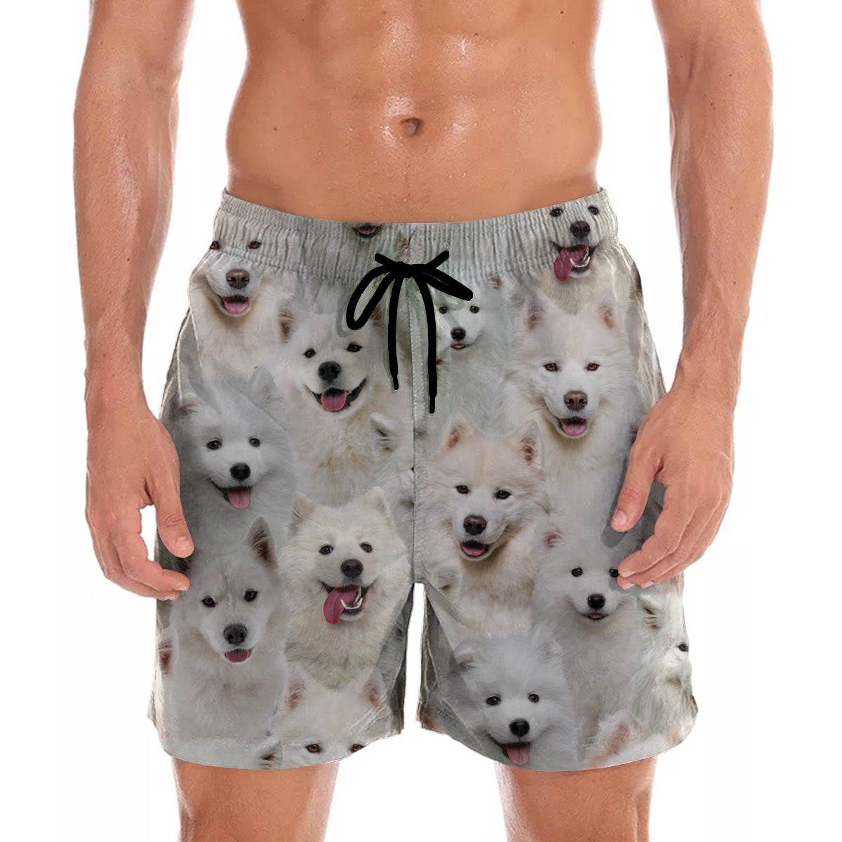 You Will Have A Bunch Of Samoyeds - Shorts V1