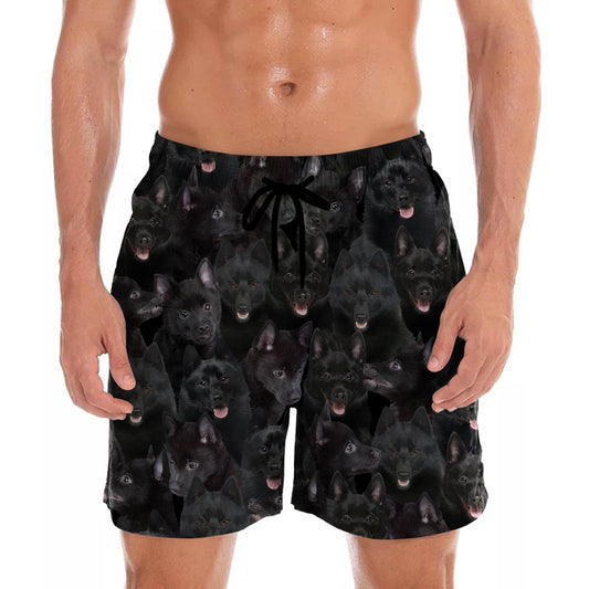 You Will Have A Bunch Of Schipperkes - Shorts V1