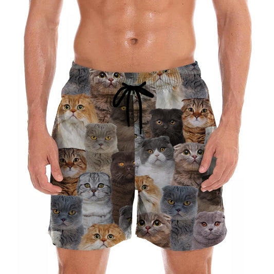 Vous aurez un groupe de chats Scottish Fold - Shorts V1