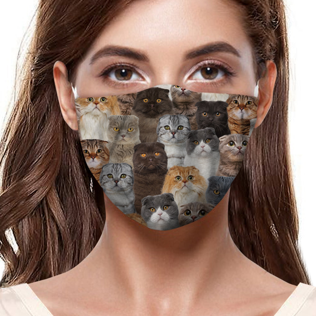 Sie werden einen Haufen Scottish Fold Cats F-Maske haben