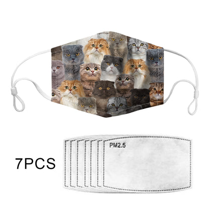 You Will Have A Bunch Of Scottish Fold Cats F-Mask