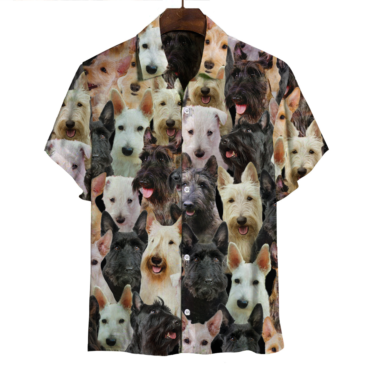 Sie werden einen Haufen schottischer Terrier haben - Shirt V1