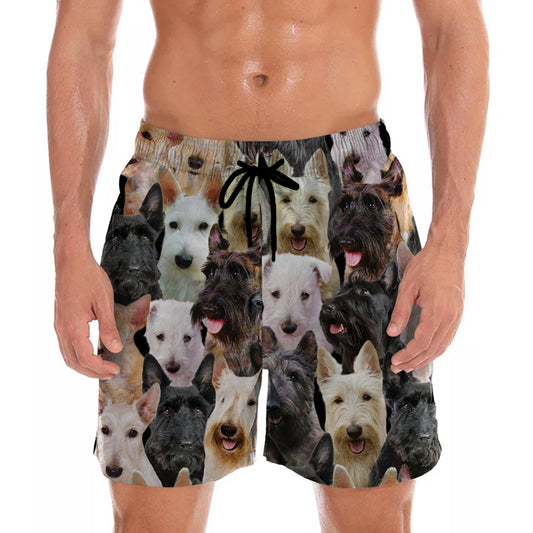 You Will Have A Bunch Of Scottish Terriers - Shorts V1
