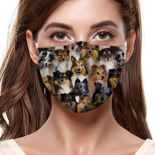 Vous aurez un groupe de chiens de berger des Shetland F-Mask