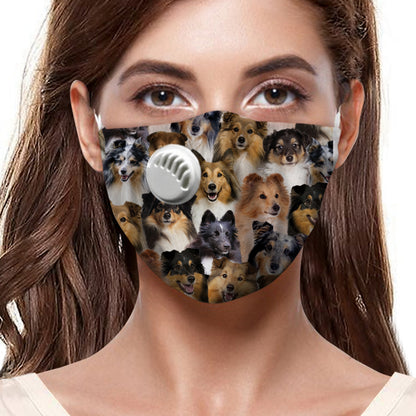 Vous aurez un groupe de chiens de berger des Shetland F-Mask
