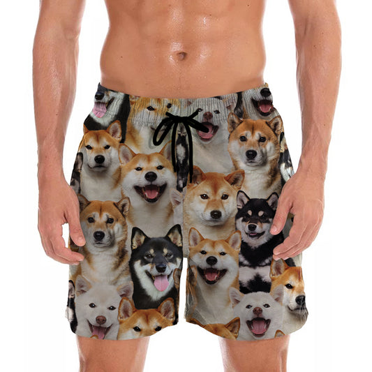 You Will Have A Bunch Of Shiba Inus - Shorts V1
