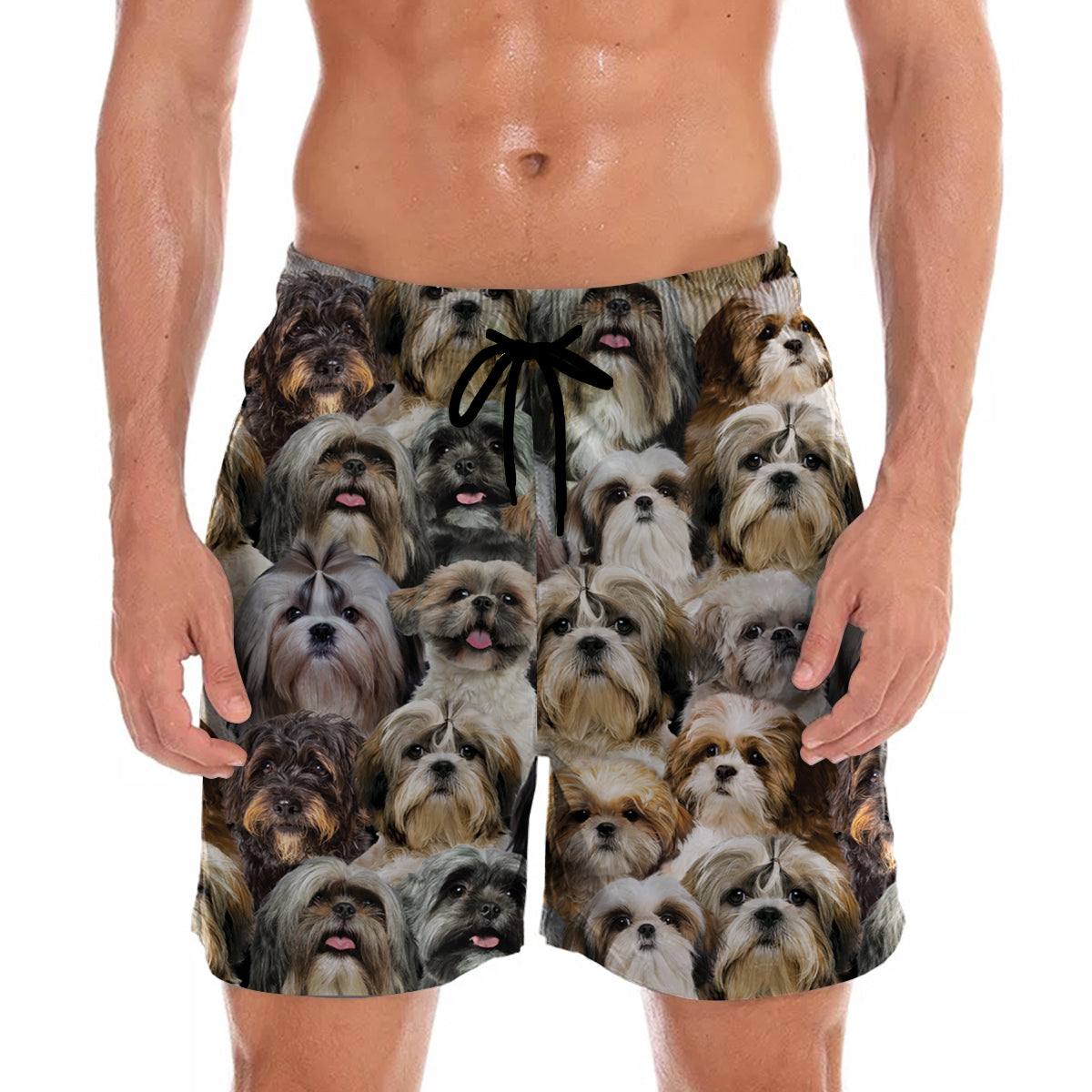 You Will Have A Bunch Of Shih Tzus - Shorts V1