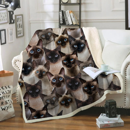 You Will Have A Bunch Of Siamese Cats - Blanket V1
