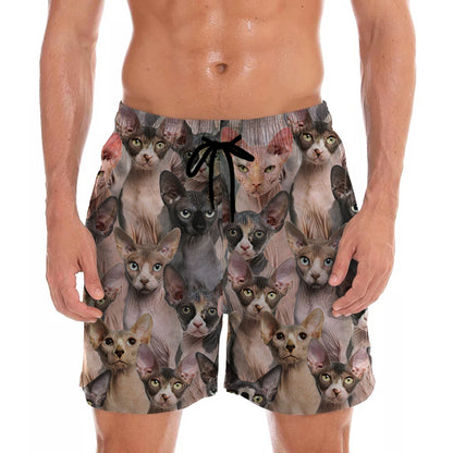 You Will Have A Bunch Of Sphynx Cats - Shorts V1
