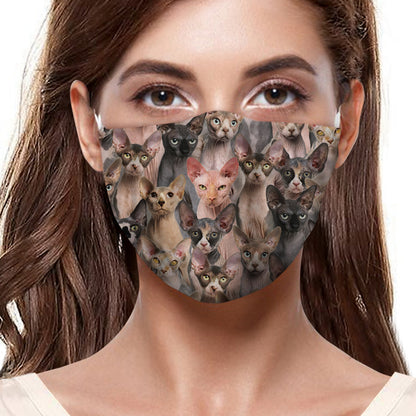 Sie werden ein paar Sphynx-Katzen-F-Masken haben