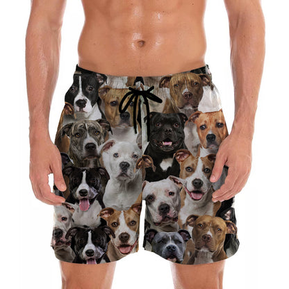 Vous aurez un tas de Staffordshire Bull Terriers - Shorts V1