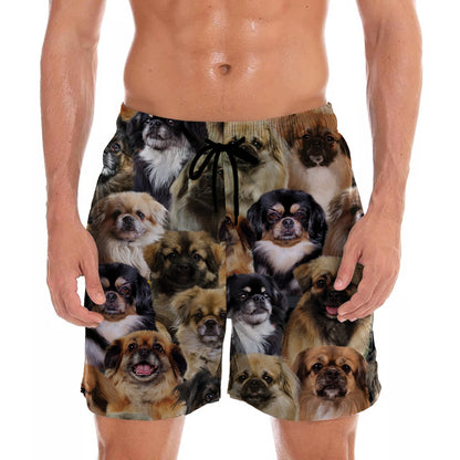 You Will Have A Bunch Of Tibetan Spaniels - Shorts V1