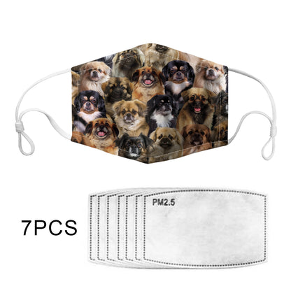 You Will Have A Bunch Of Tibetan Spaniels F-Mask
