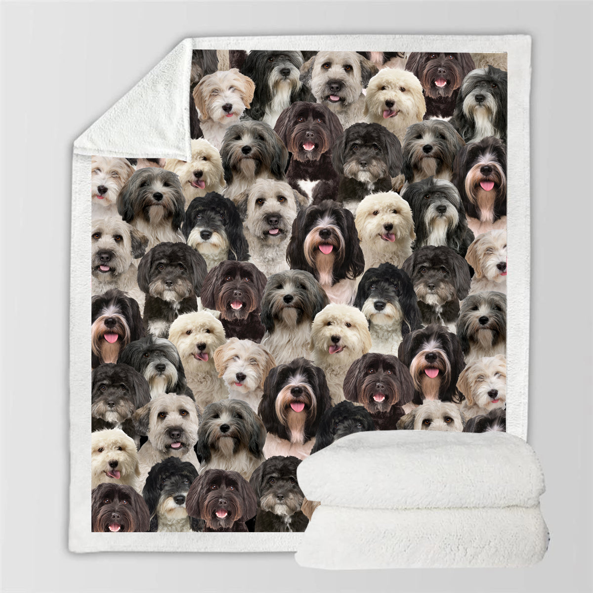 Tibetan Terriers - Blanket V1