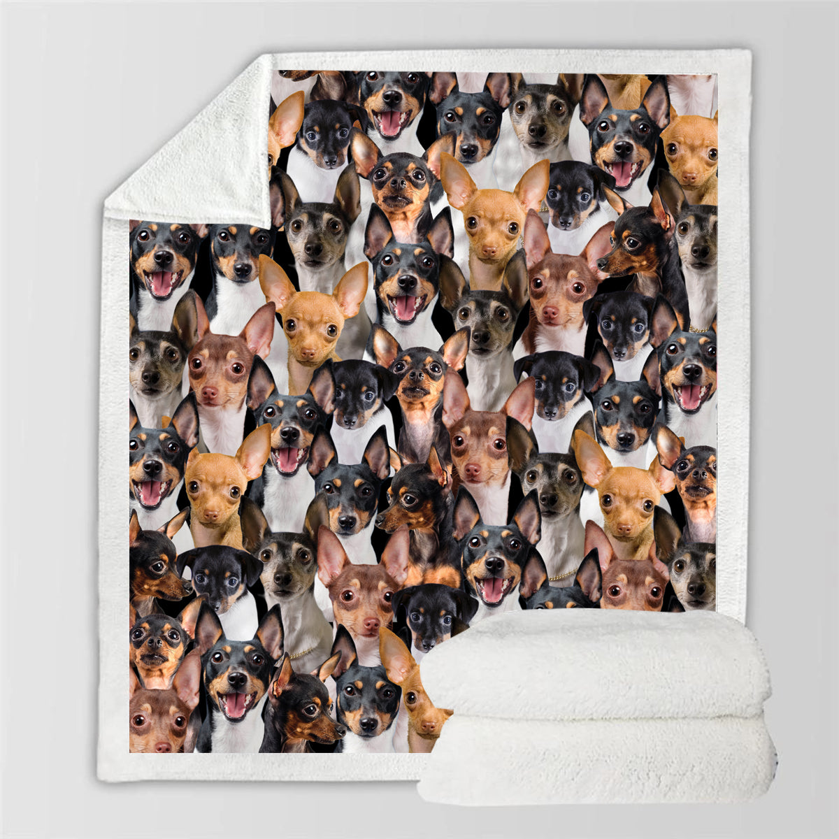 Toy Fox Terriers - Blanket V1
