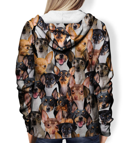 You Will Have A Bunch Of Toy Fox Terriers - Hoodie V1