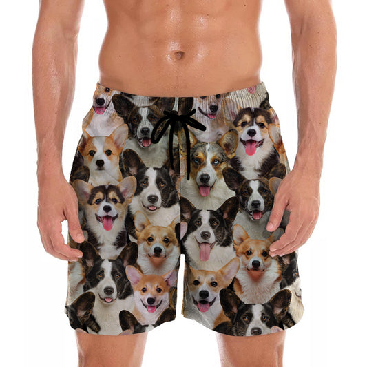 You Will Have A Bunch Of Welsh Corgies - Shorts V1