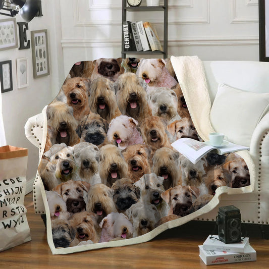 You Will Have A Bunch Of Wheaten Terriers - Blanket V1