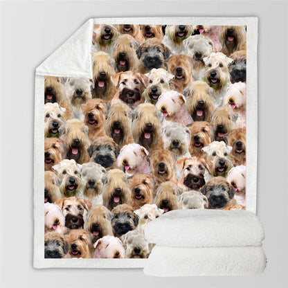 Wheaten Terriers - Blanket V1