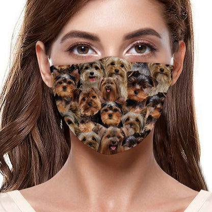 Sie werden einen Haufen Yorkshire Terrier F-Maske haben