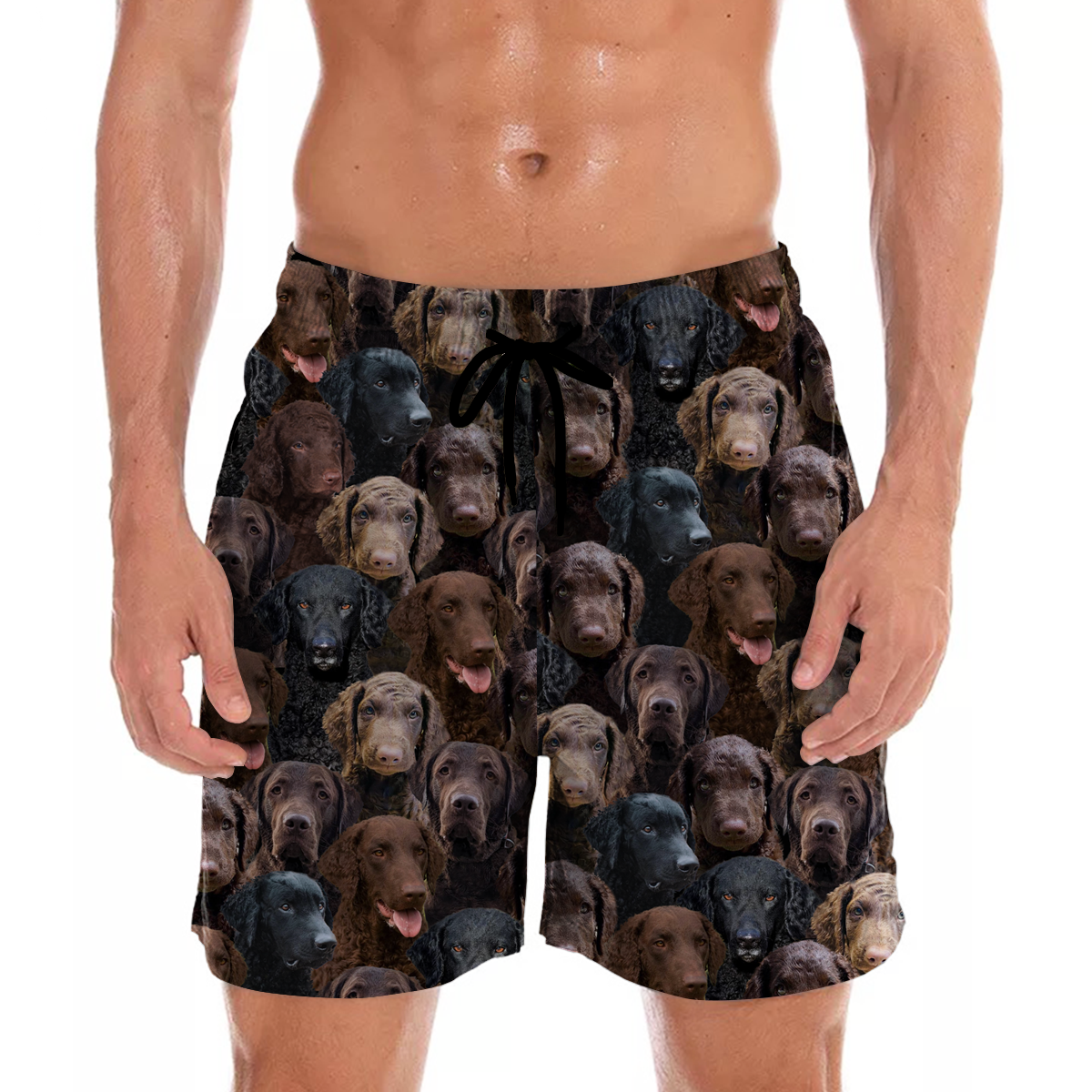 You Will Have A Bunch Of Curly Coated Retrievers - Shorts V1