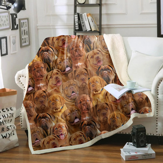 You Will Have A Bunch Of Dogue De Bordeauxs - Blanket V1