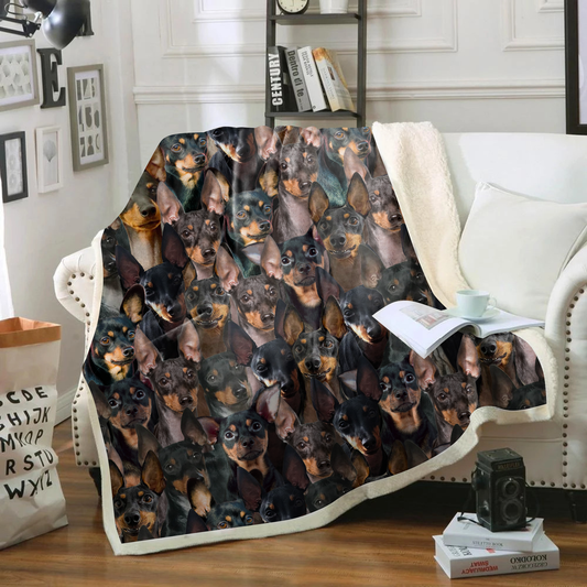 You Will Have A Bunch Of English Toy Terriers - Blanket V1