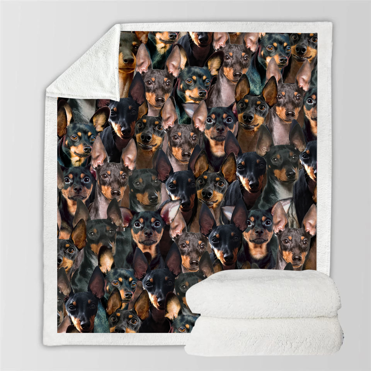 English Toy Terriers - Blanket V1