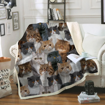 You Will Have A Bunch Of Exotic Cats - Blanket V1