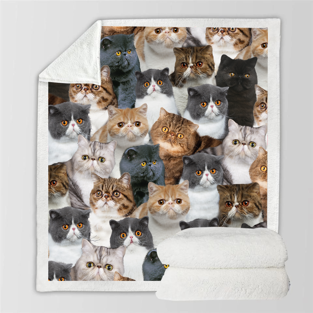 Exotic Cats - Blanket V1