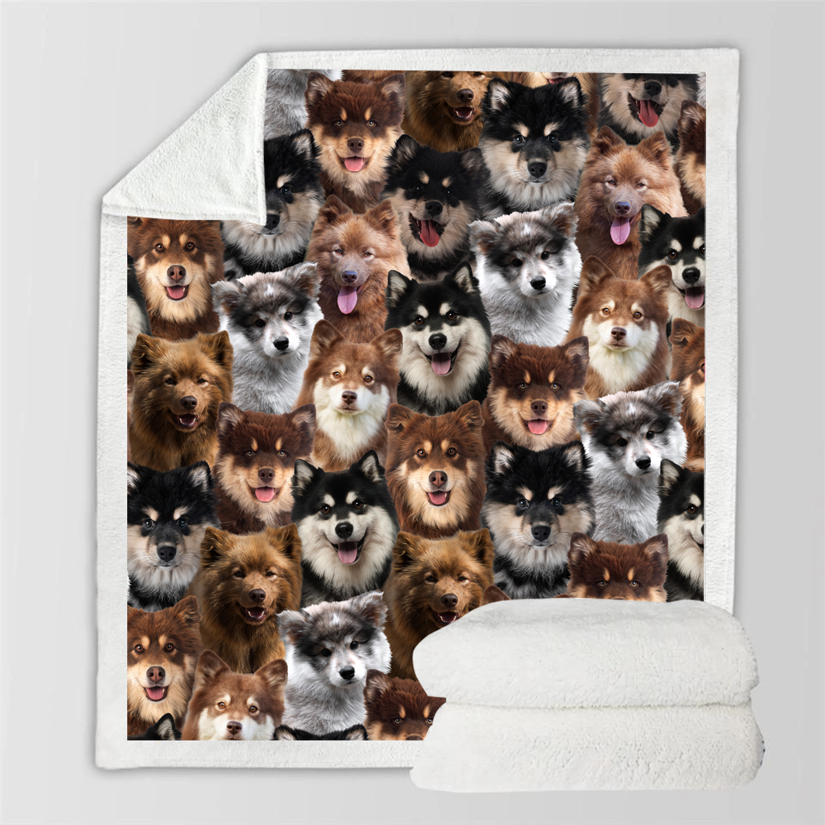 Finnish Lapphunds - Blanket V1