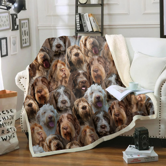 You Will Have A Bunch Of Italian Spinones - Blanket V1
