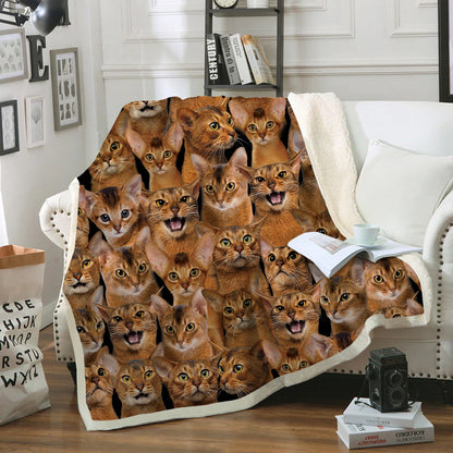 You Will Have A Bunch Of Abyssinian Cats - Blanket V1