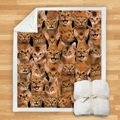 Abyssinian Cats - Blanket V1