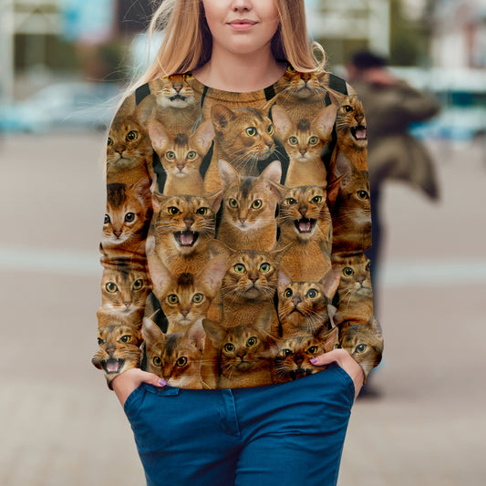 Du wirst einen Haufen Abessinierkatzen haben - Sweatshirt V1