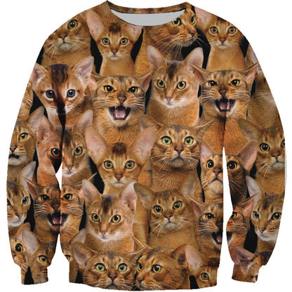 Vous aurez une bande de chats abyssins - Sweatshirt V1